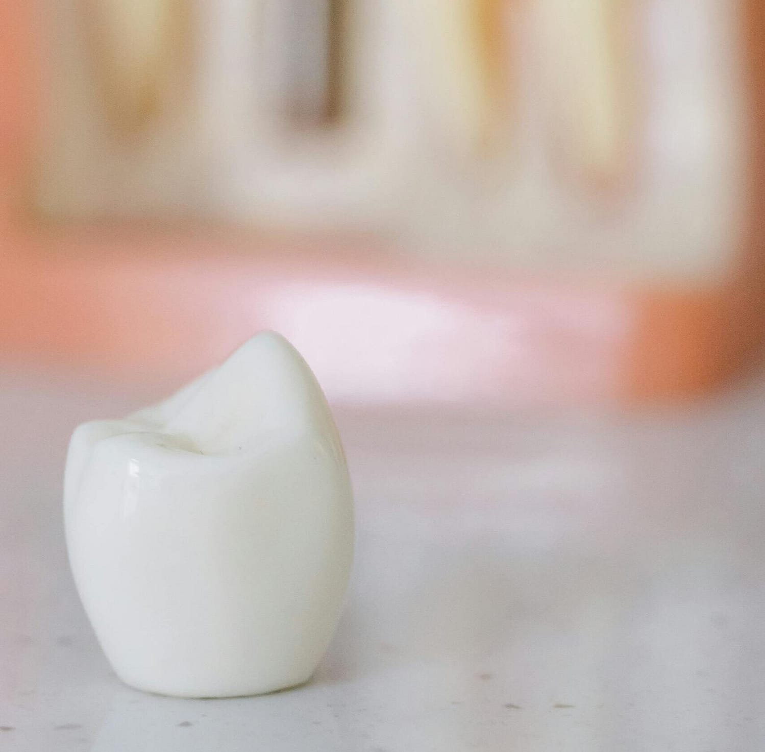 Detailed close-up of a dental prosthetic with a sterilized and blurred dental model background.
